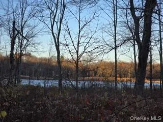 $155,000 | Logtown Road, Port Jervis, NY 12771