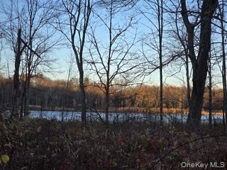 Logtown Road Port Jervis, NY 12771 - Photo 15 of 15 a view of a yard