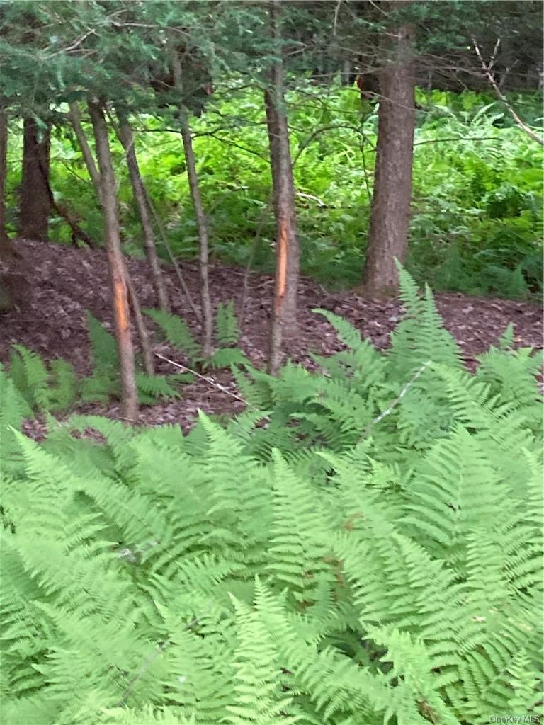 Logtown Road Port Jervis, NY 12771 - Photo 2 of 15 a backyard of a house with lots of green space