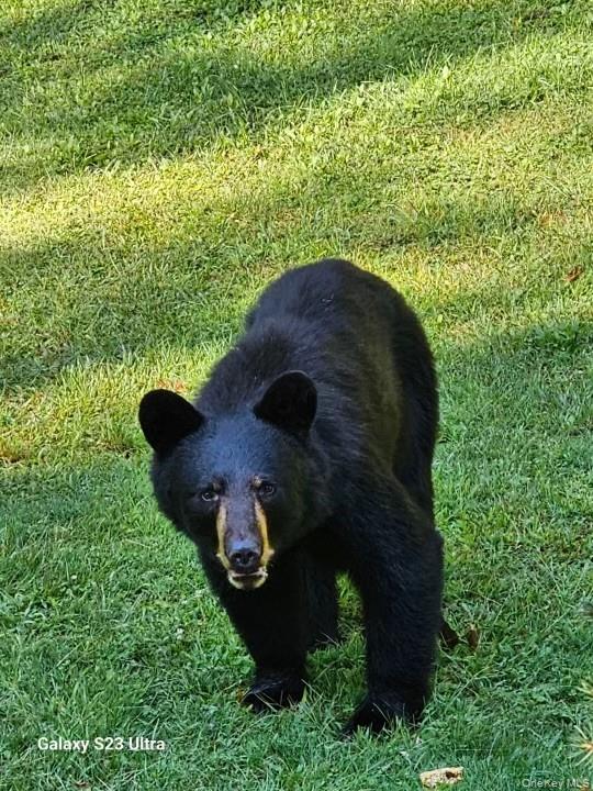 Logtown Road Port Jervis, NY 12771 - Photo 3 of 15 an aerial view of a house with a yard