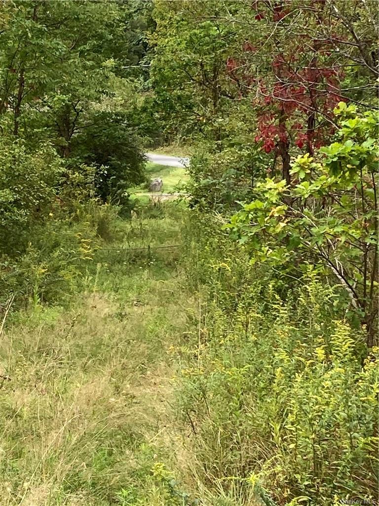 Logtown Road Port Jervis, NY 12771 - Photo 4 of 15 a view of a big yard with plants and large trees