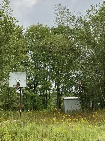 a view of a field of grass and trees