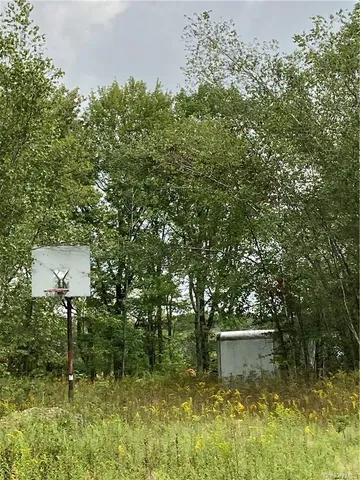 a view of a field of grass and trees