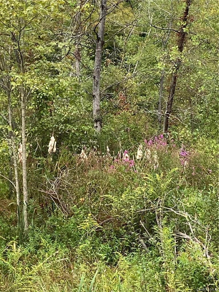 Logtown Road Port Jervis, NY 12771 - Photo 9 of 15