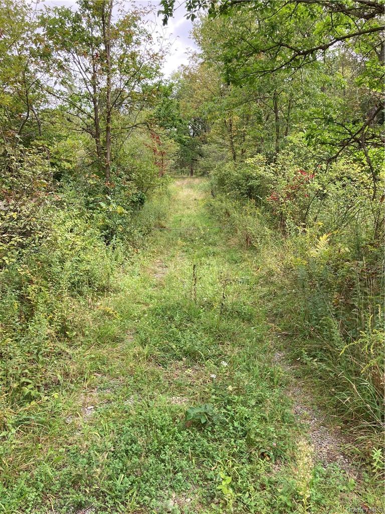 Logtown Road Port Jervis, NY 12771 - Photo 10 of 15 a view of a big yard with plants and large trees
