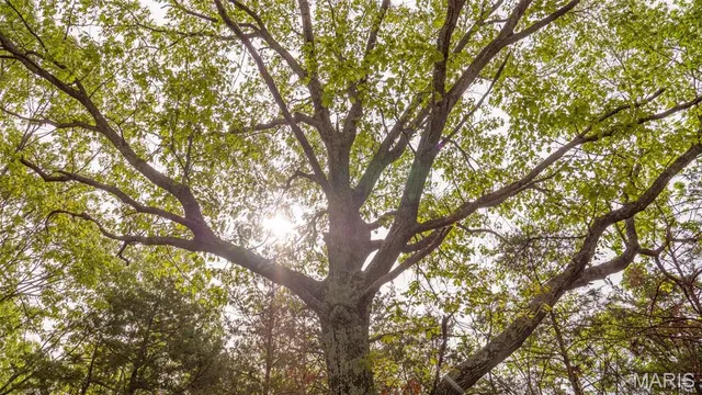 $410,550 | -tract #4 Tract, Owensville, MO 65066