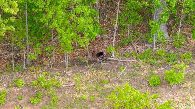 $410,550 | -tract #4 Tract, Owensville, MO 65066