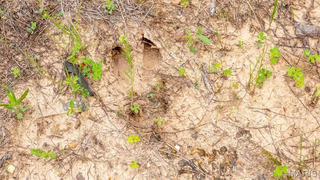 $410,550 | -tract #4 Tract, Owensville, MO 65066