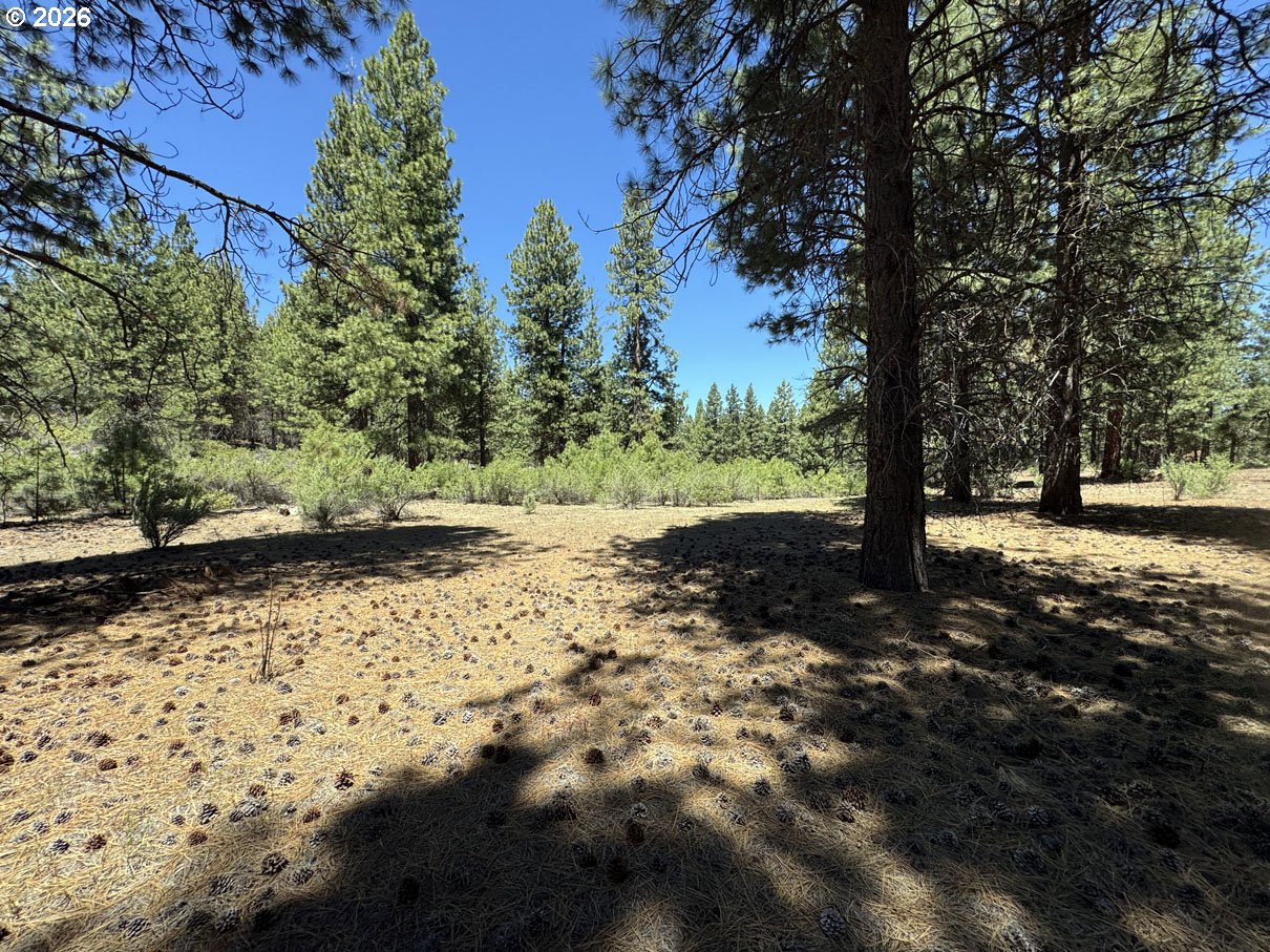 Friendship Drive, Unit 15 Chiloquin, OR 97624 - Photo 1 of 41