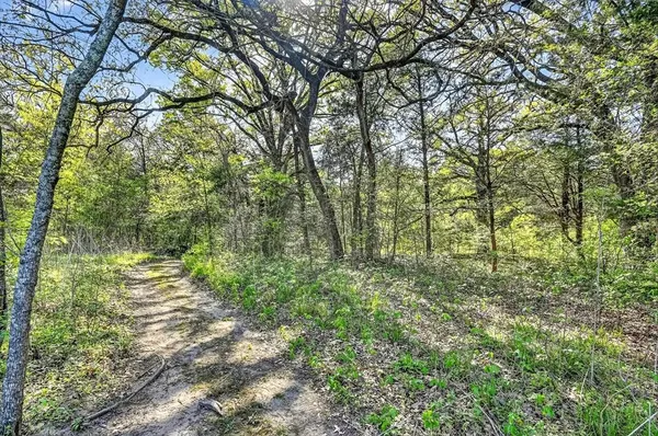 a big yard with lots of green space and trees