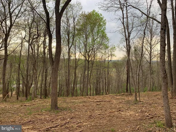 a backyard of a house with lots of trees