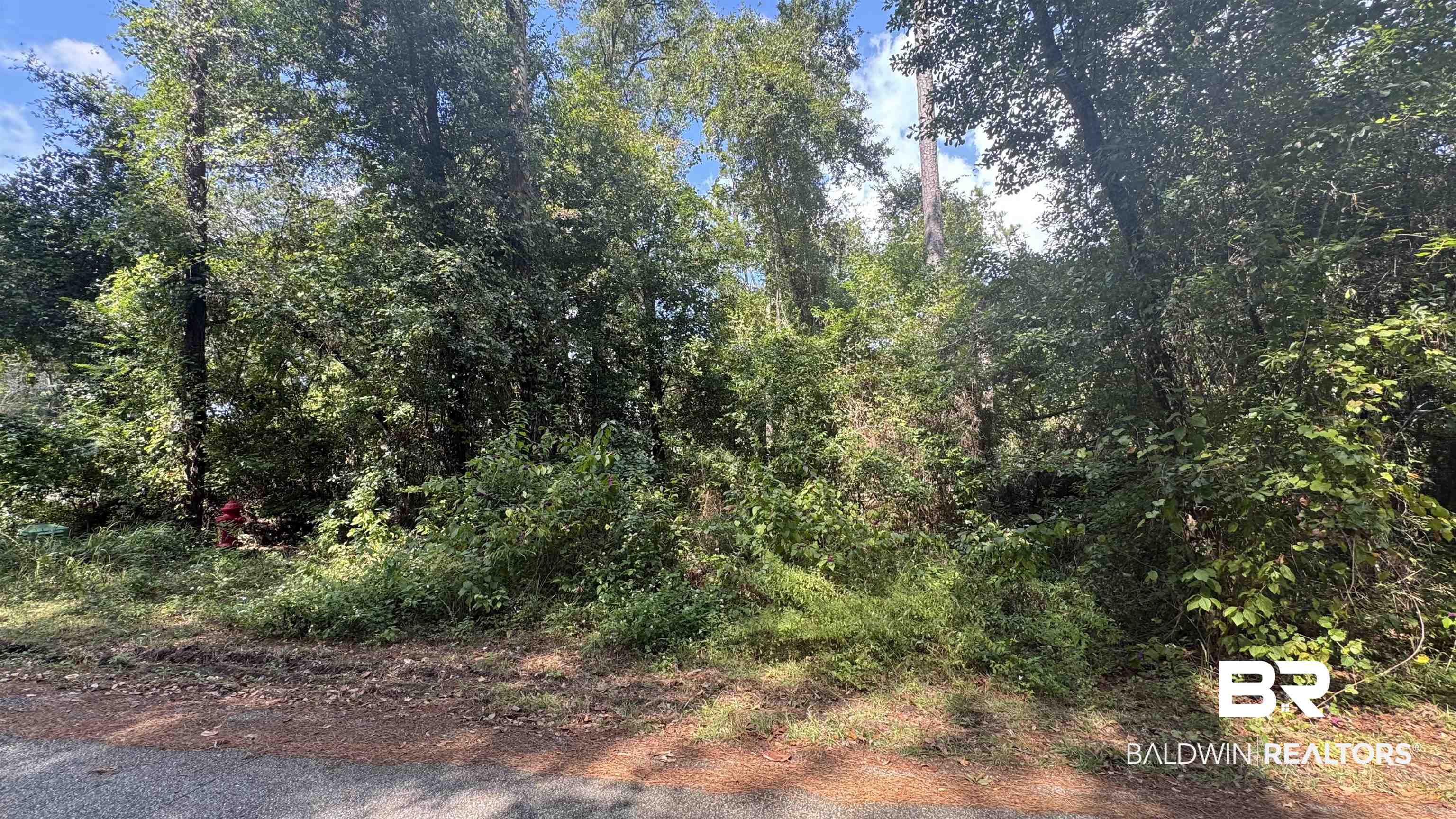 Lot 6 Hamilton Boulevard Foley, AL 36535 - Photo 1 of 1 View of wooded area