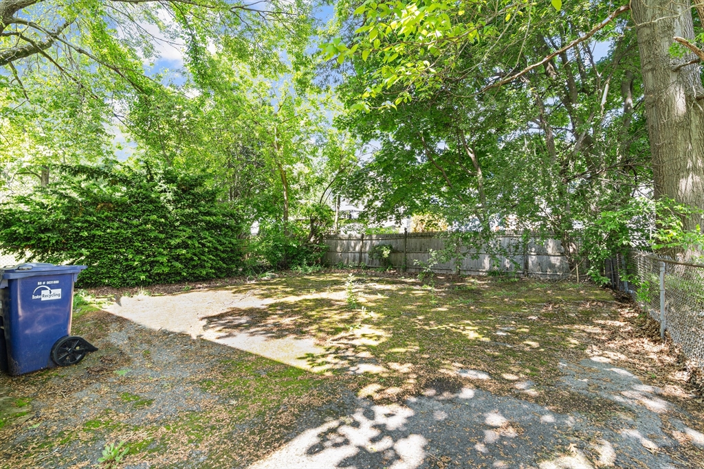 27 Colorado Street Boston, MA 02126 - Photo 7 of 32 a view of a yard with plants