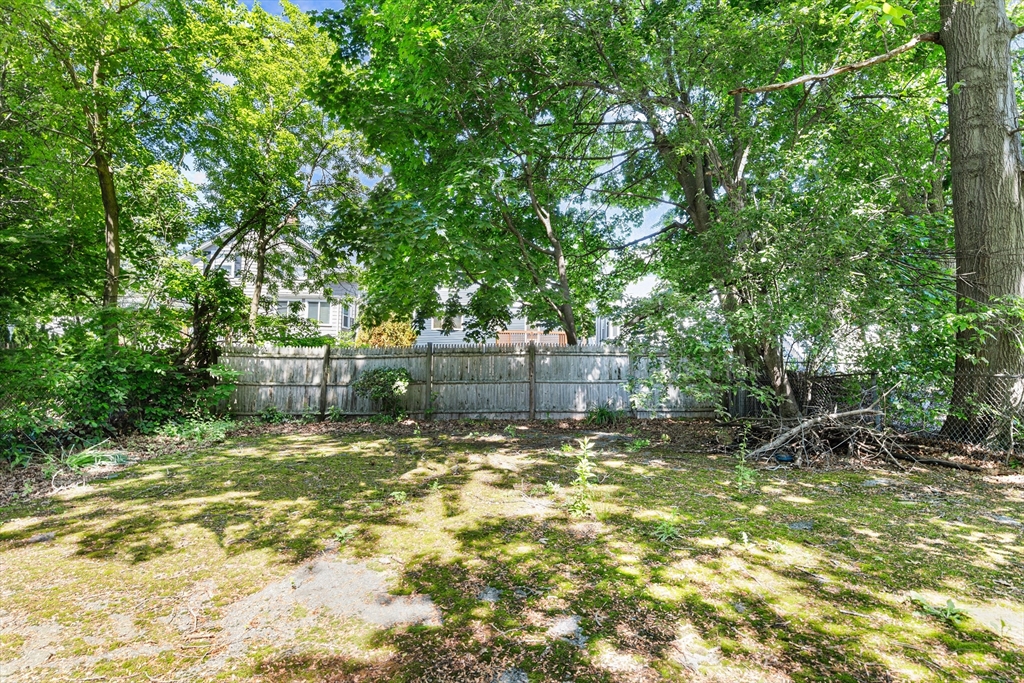 27 Colorado Street Boston, MA 02126 - Photo 9 of 32 a backyard of a house with lots of plants and tree
