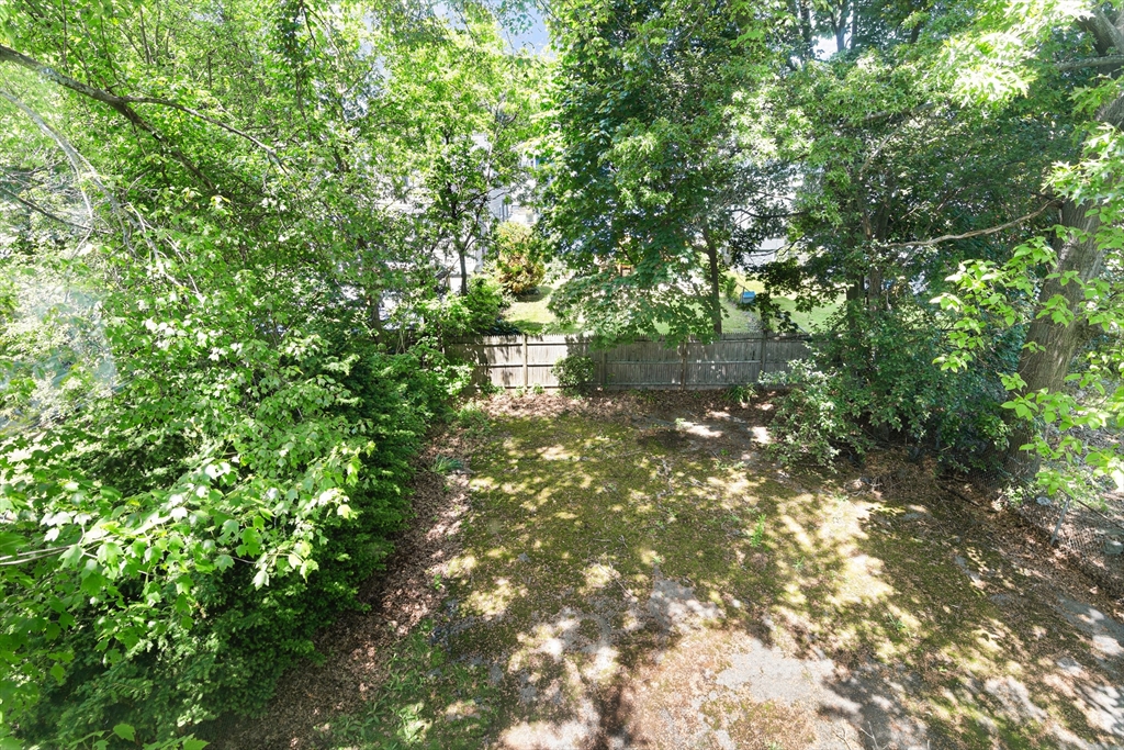27 Colorado Street Boston, MA 02126 - Photo 10 of 32 a backyard of a house with lots of green space and tree