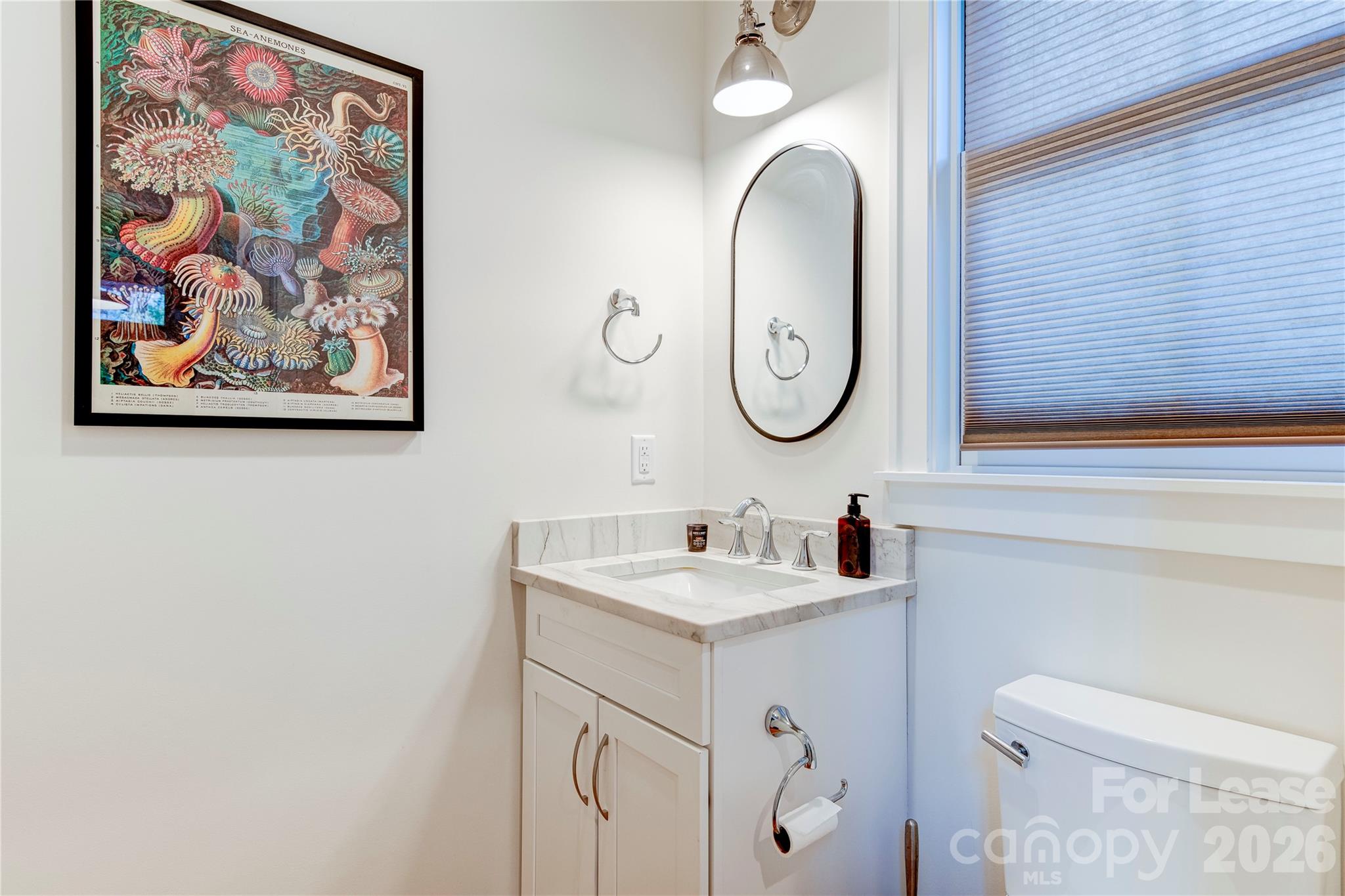 12 Waverly Road Asheville, NC 28803 - Photo 10 of 23