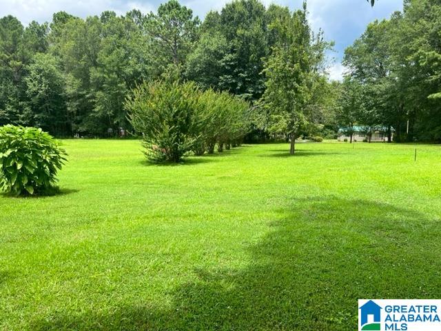 123 Hendricks Street Talladega, AL 35160 - Photo 95 of 96