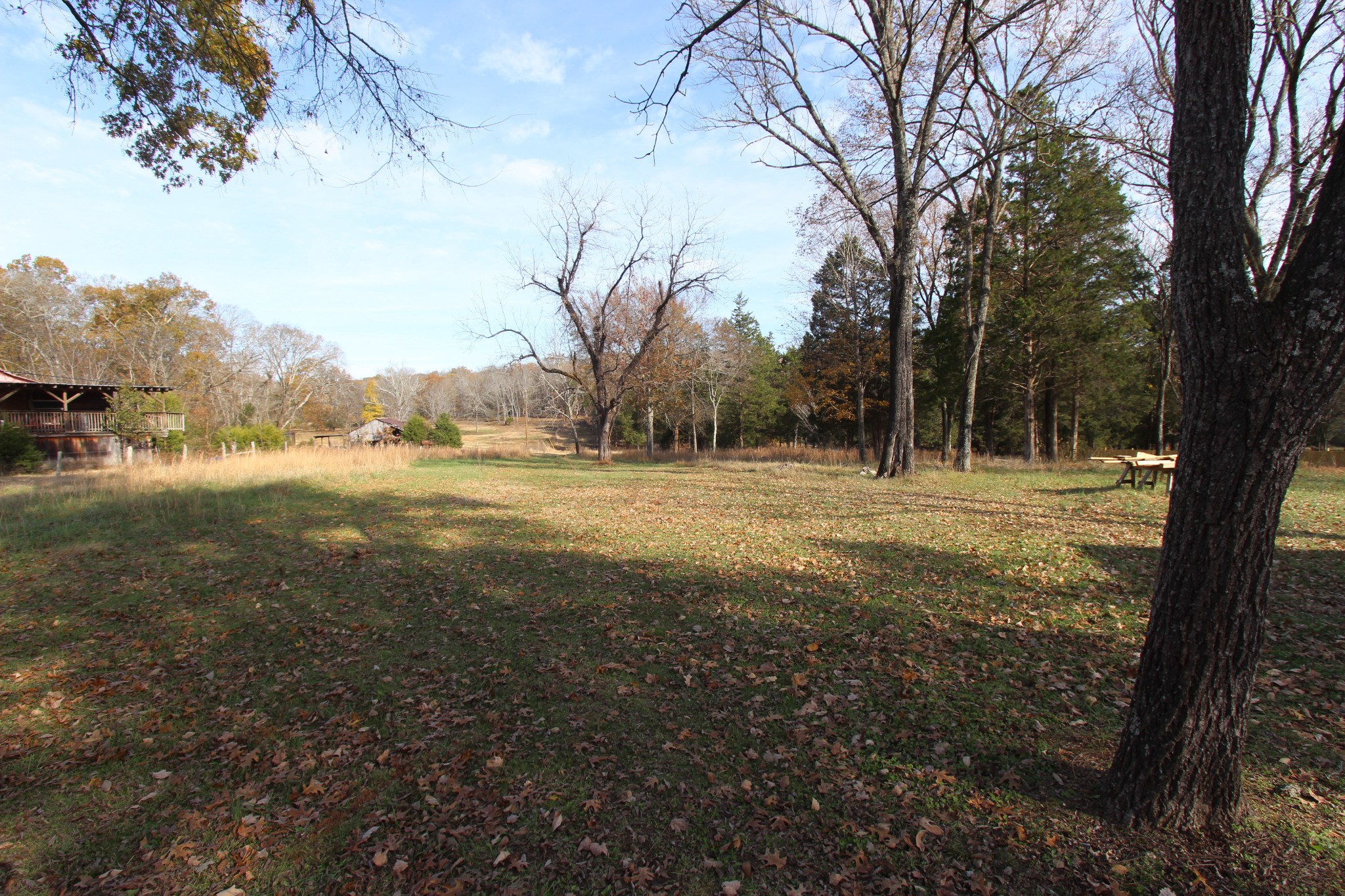 1360 Cedar Grove Road Lebanon, TN 37087 - Photo 26 of 29 a view of outdoor space with trees all around