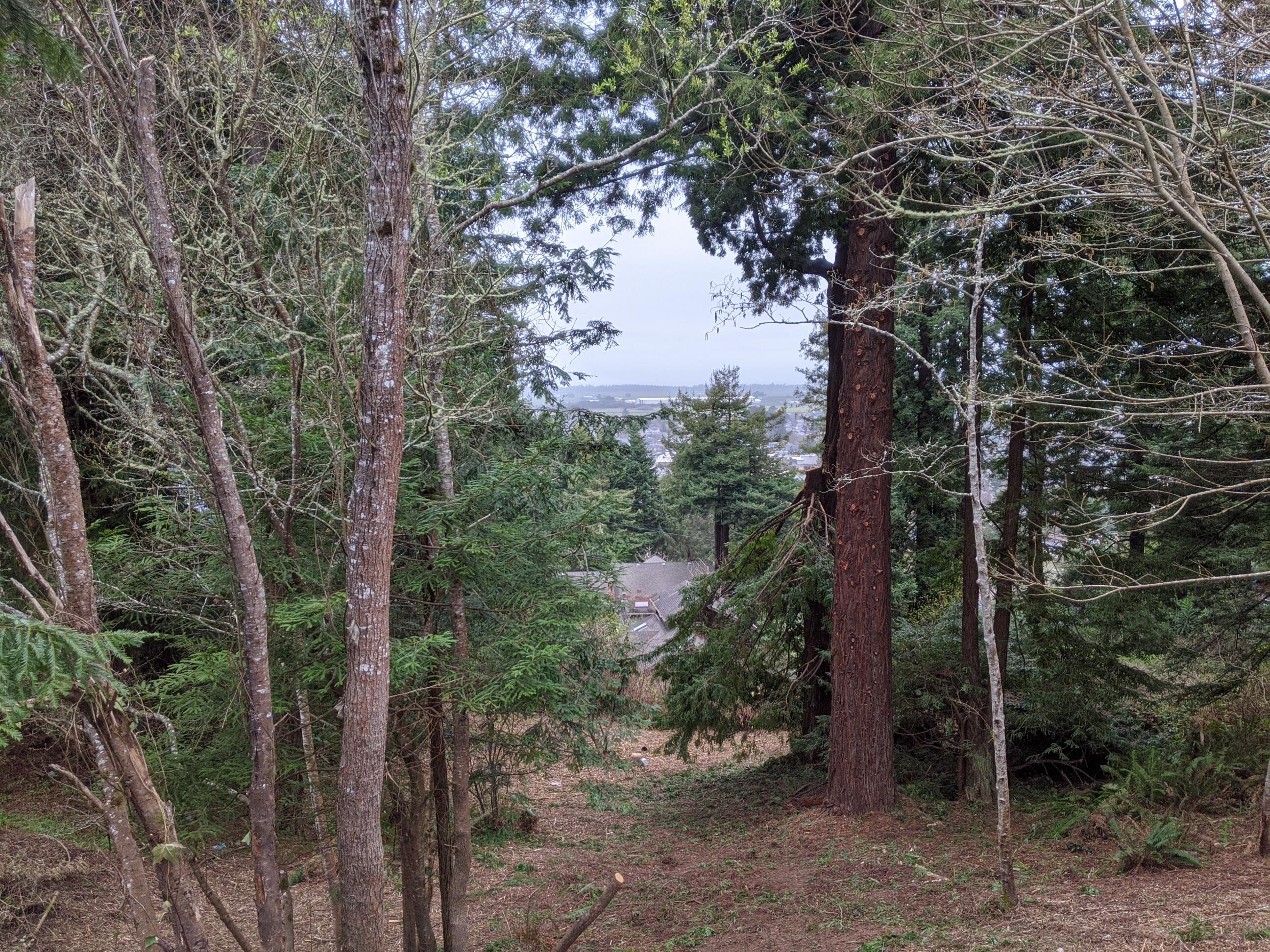 2950 Terrace Avenue Arcata, CA 95521 - Photo 1 of 3
