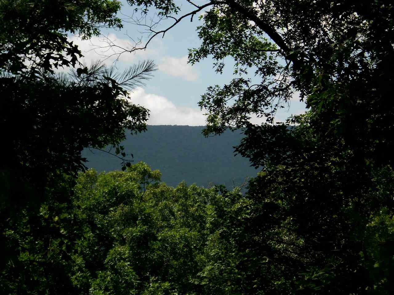 1665 Tellico Reliance Road Reliance, TN 37369 - Photo 13 of 18 Gallery Image 13