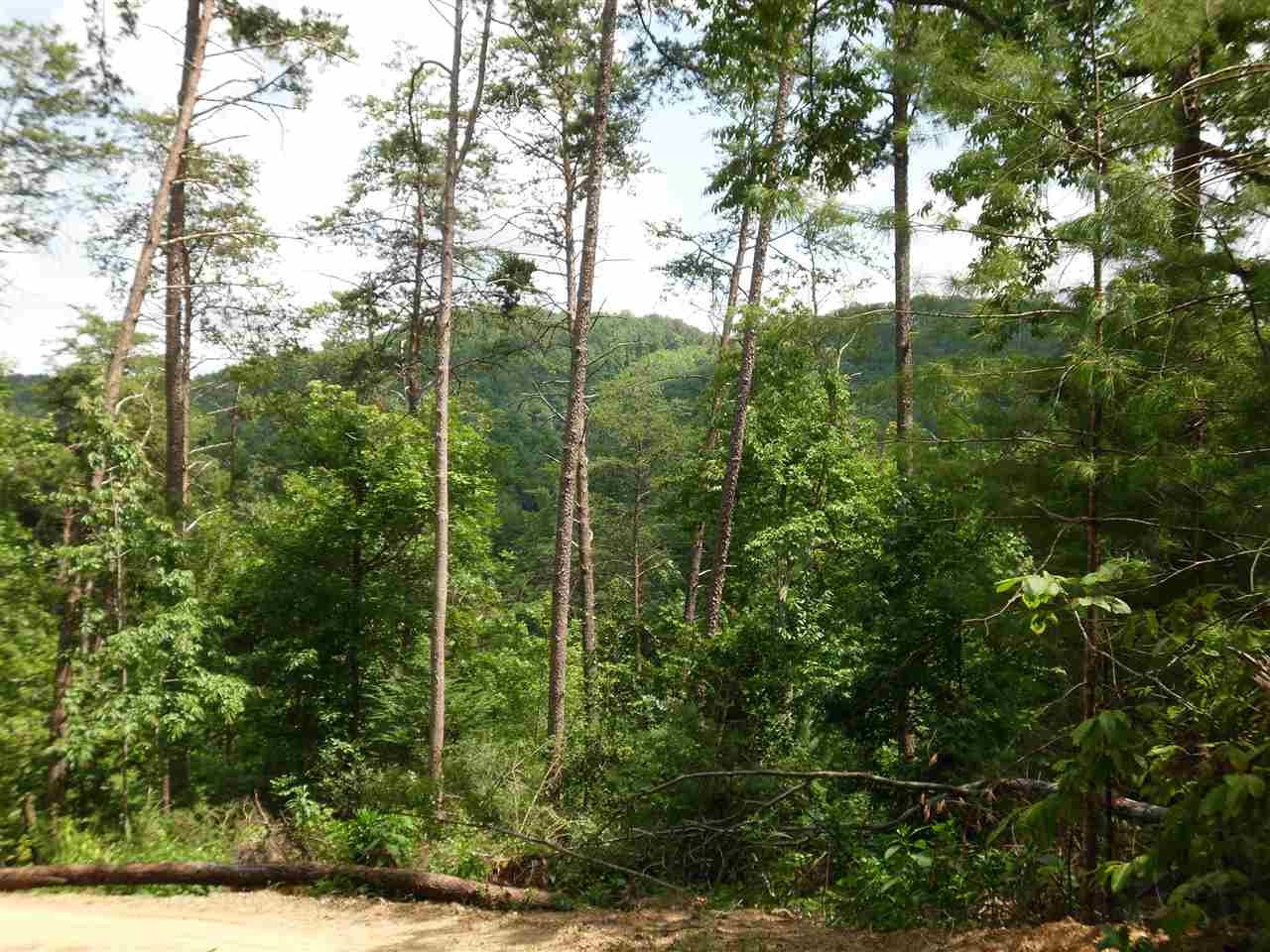 1665 Tellico Reliance Road Reliance, TN 37369 - Photo 15 of 18 Gallery Image 15