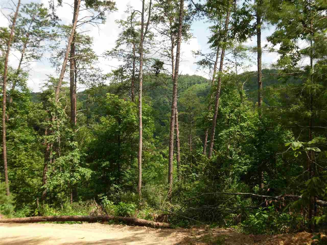1665 Tellico Reliance Road Reliance, TN 37369 - Photo 16 of 18 Gallery Image 16