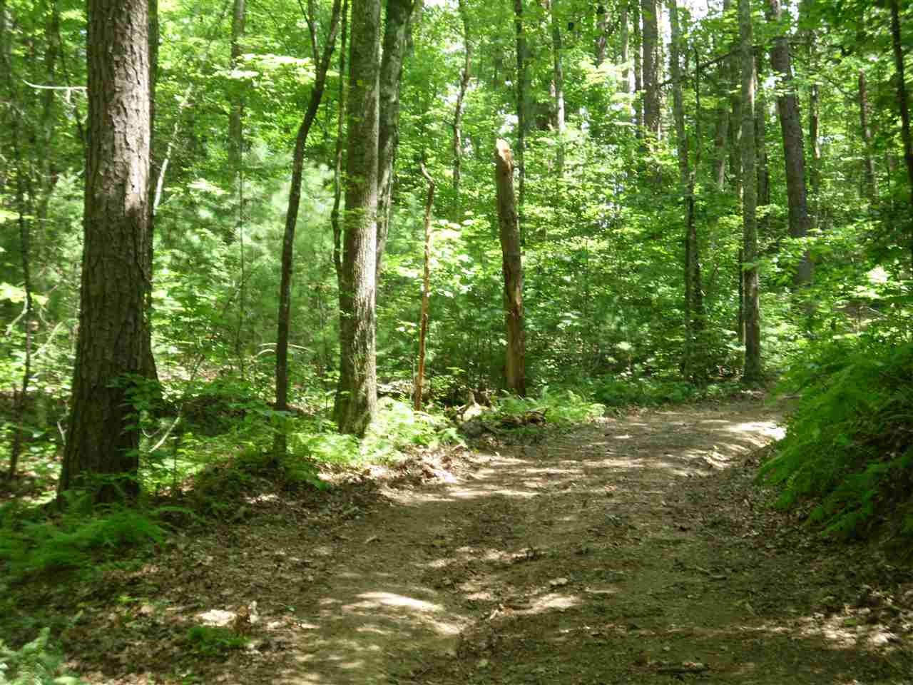1665 Tellico Reliance Road Reliance, TN 37369 - Photo 8 of 18 Gallery Image 8