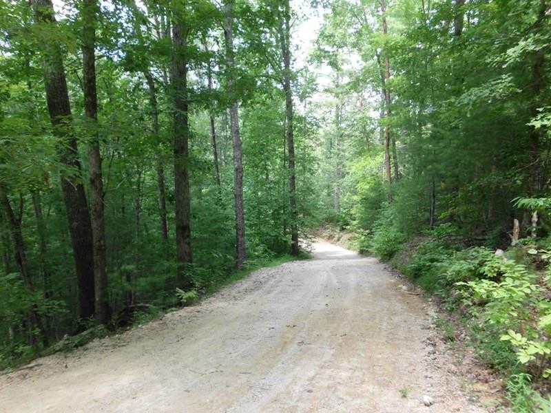 1665 Tellico Reliance Road Reliance, TN 37369 - Photo 9 of 18 Gallery Image 9