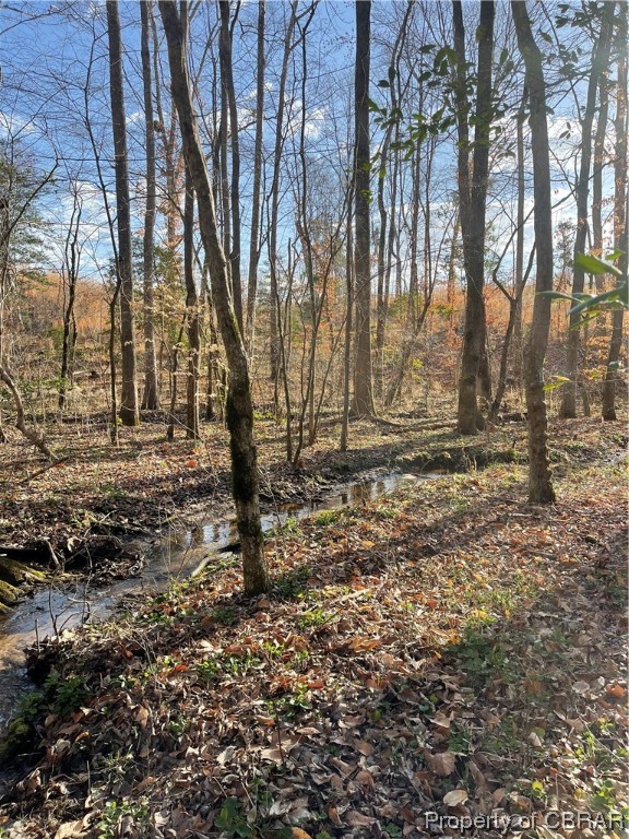 2.07-ac Old Pinetta Road Gloucester, VA 23061 - Photo 6 of 16