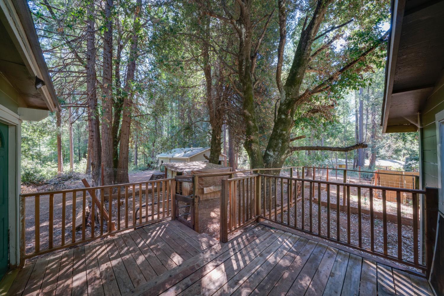 18249 Challenge Cutoff Road Forbestown, CA 95941 - Photo 14 of 50 Gallery Image 14