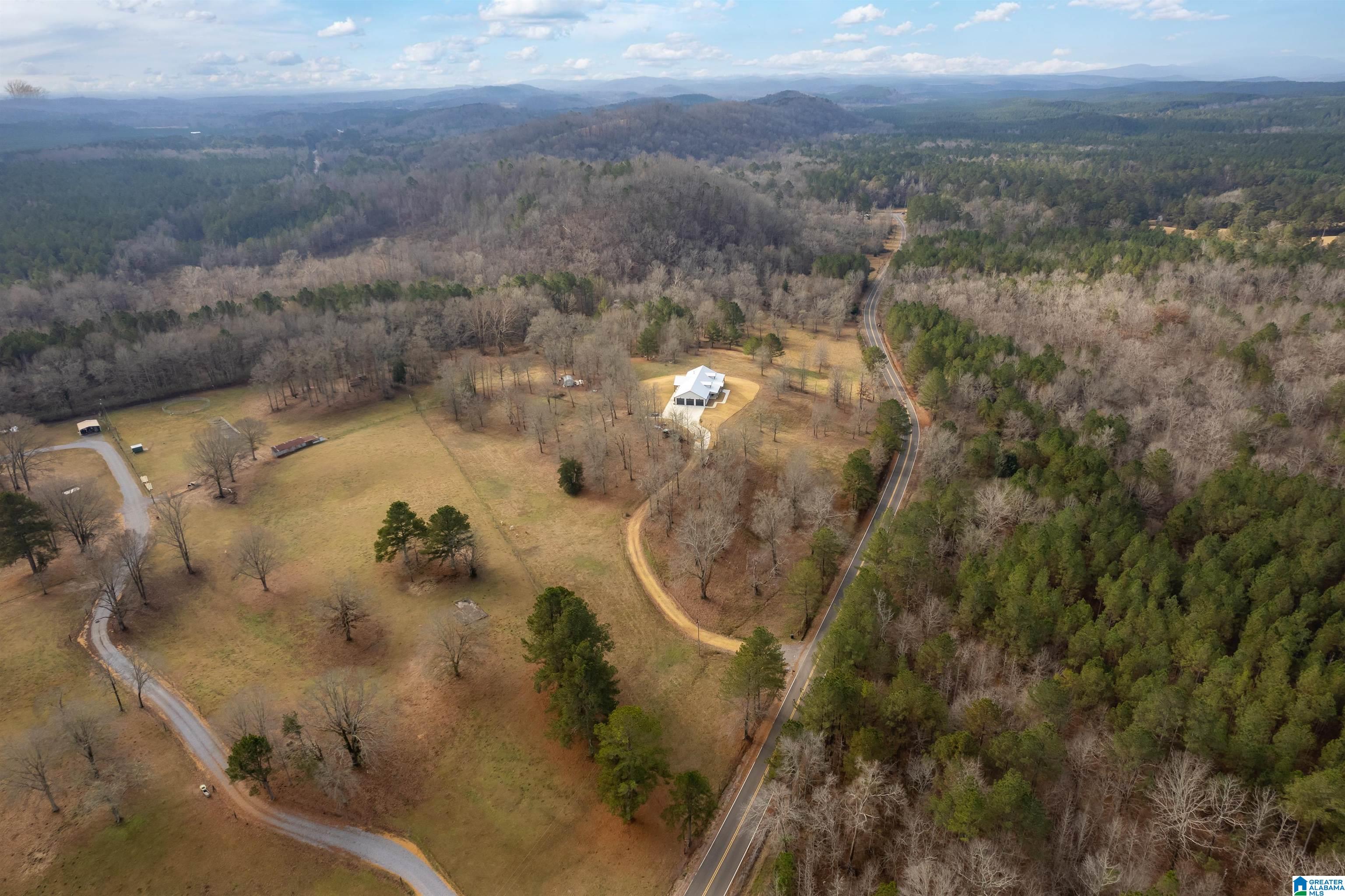 674 Dry Creek Road Cropwell, AL 35054 - Photo 42 of 49