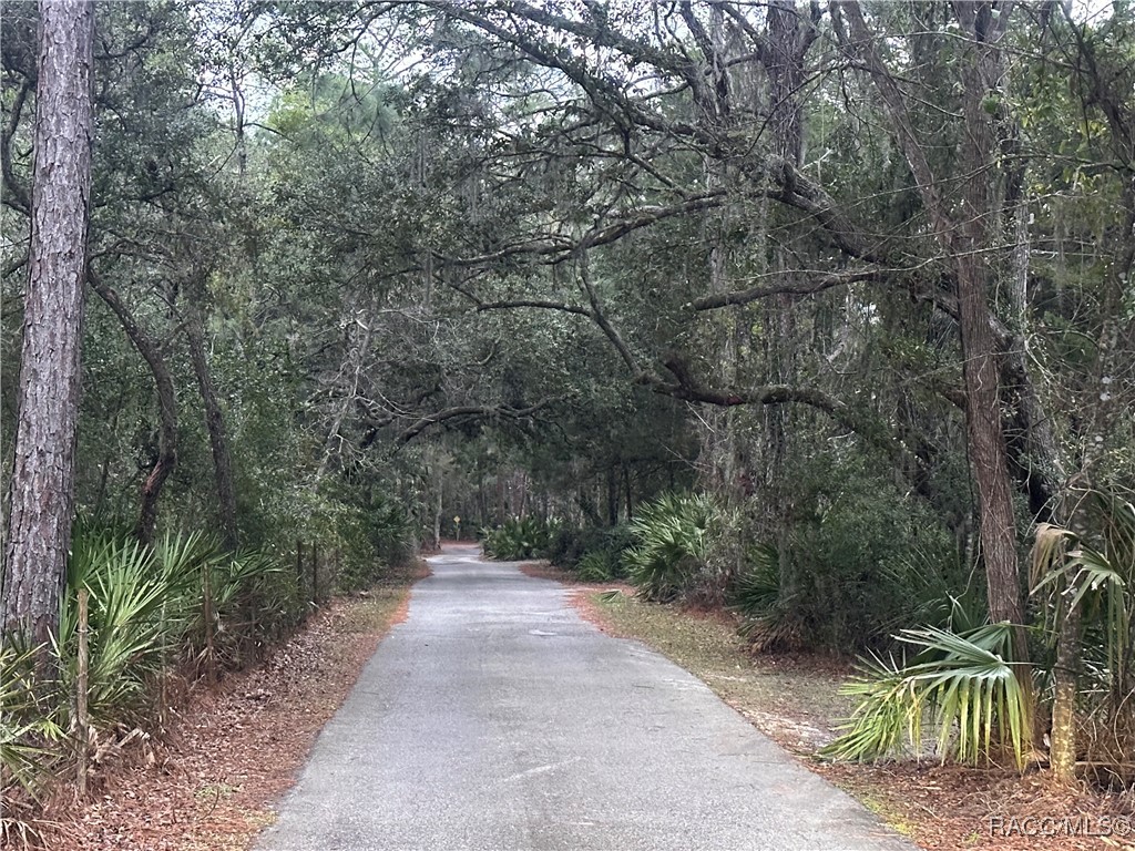 0 Our Road Inglis, FL 34449 - Photo 2 of 14