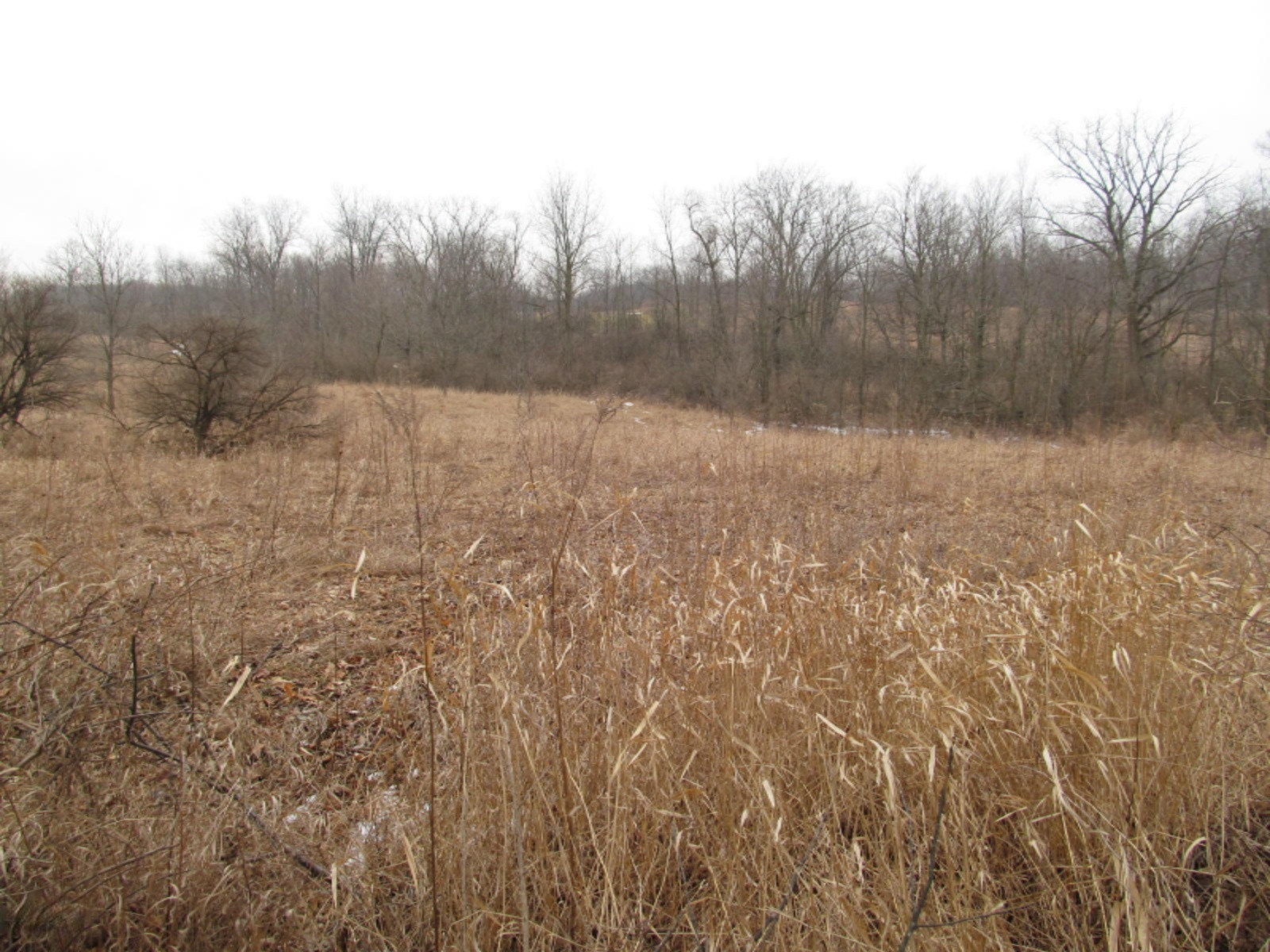 4640 Quiggle Road Southeast Ada, MI 49301 - Photo 1 of 3 quiggle 001