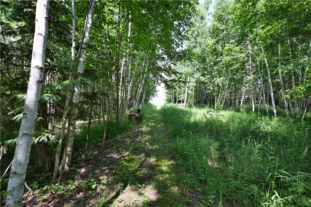 1339 South Lake Drive Shell Lake, WI 54871 - Photo 13 of 22