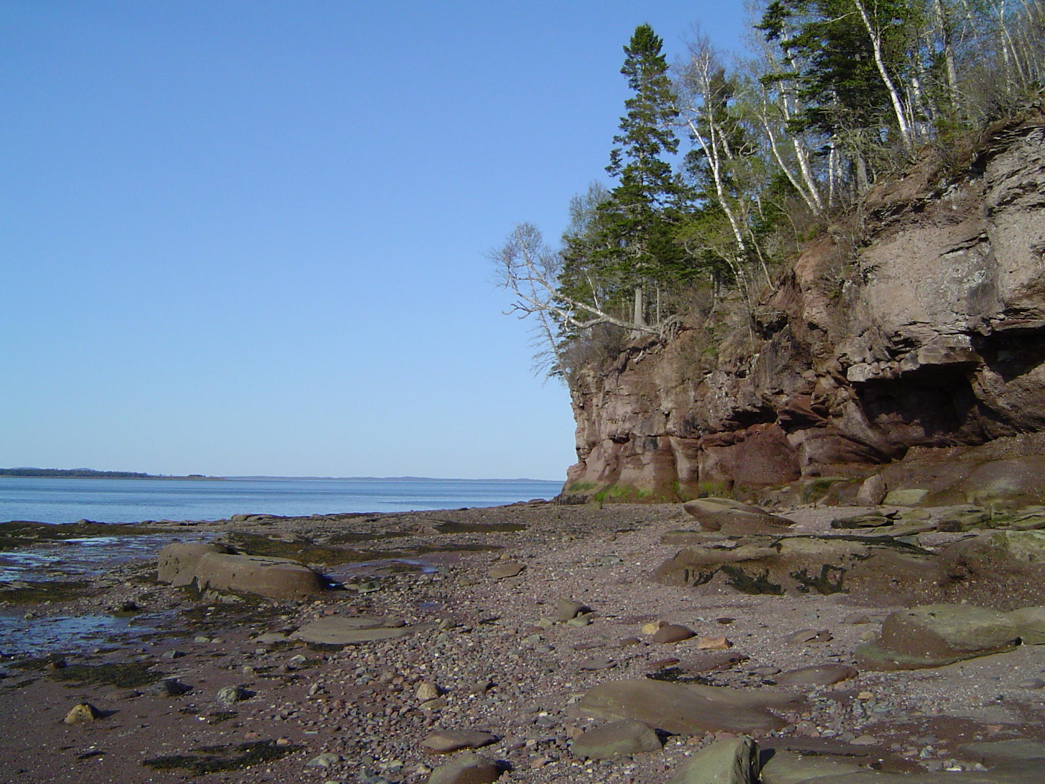 198 Gin Cove Road Perry, ME 04667 - Photo 34 of 46 DSC00023