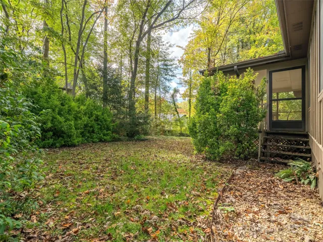 a view of a yard with plants and large trees