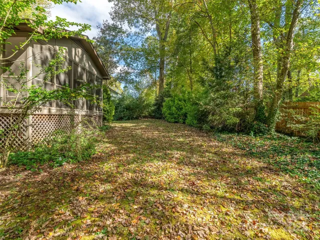 a view of a yard with plants and large trees