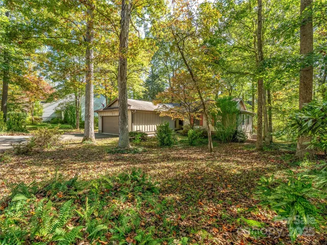 a view of a yard with plants and large trees