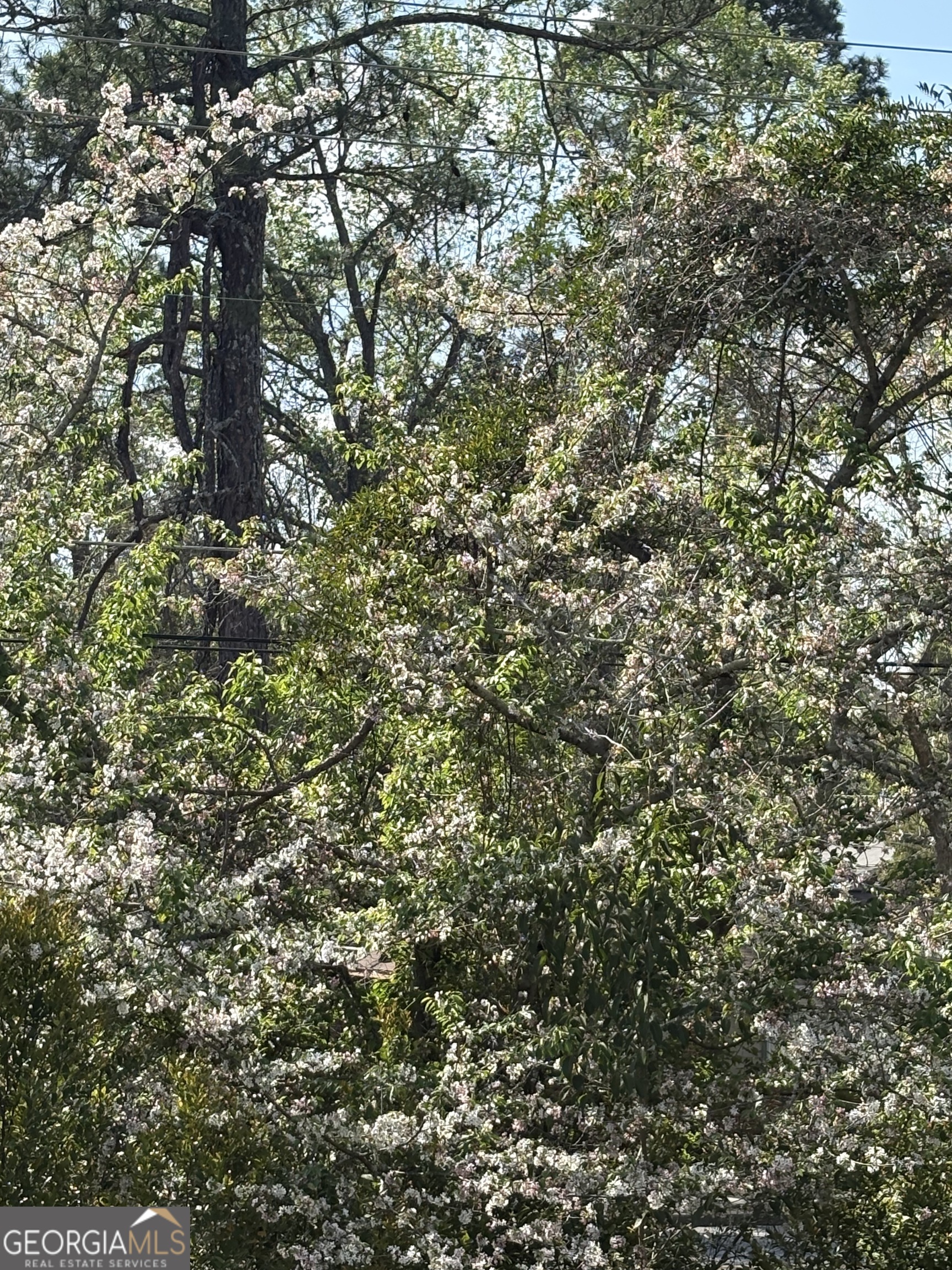 2585 New Clinton Road Macon, GA 31211 - Photo 57 of 76