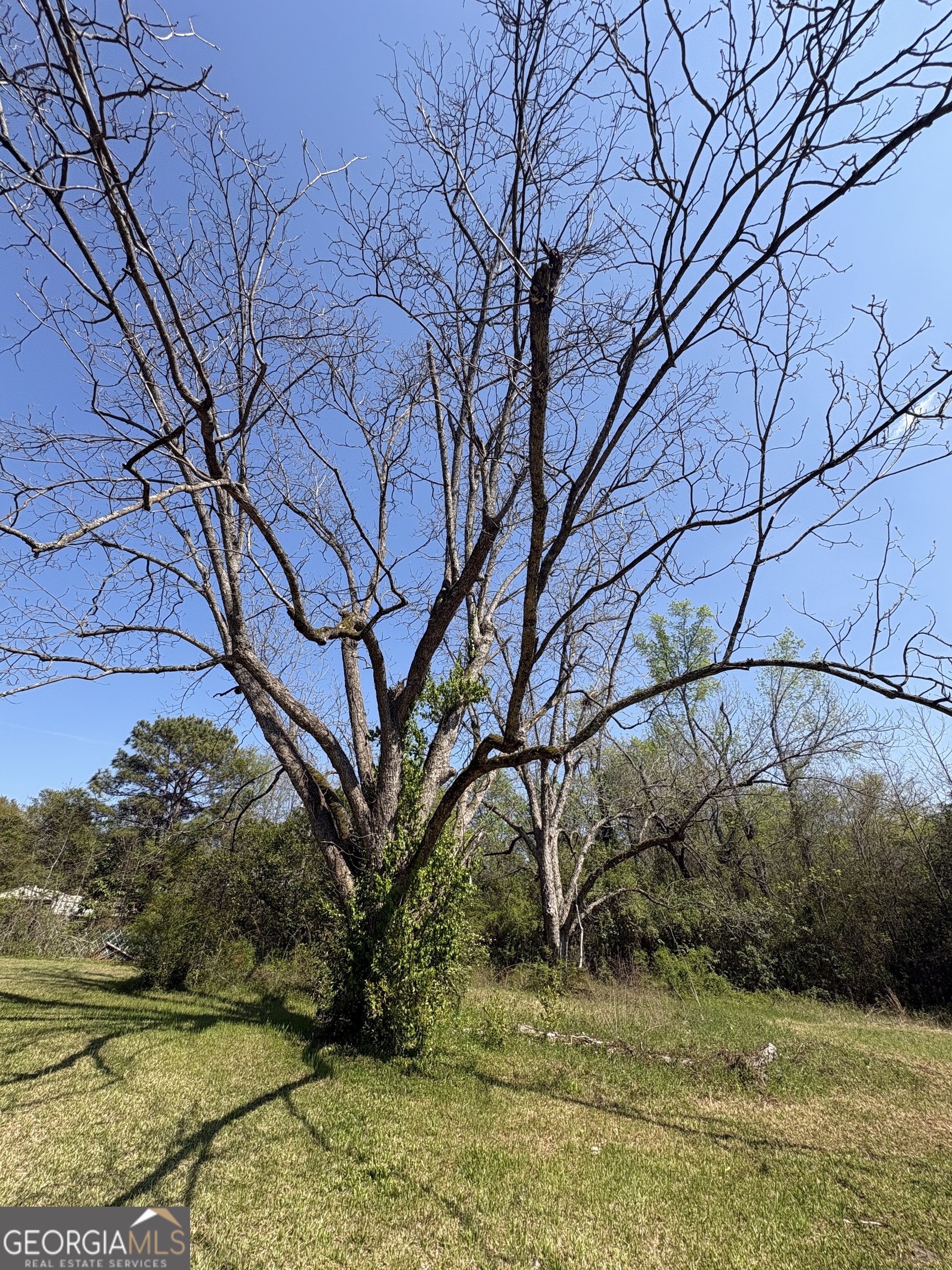2585 New Clinton Road Macon, GA 31211 - Photo 65 of 76
