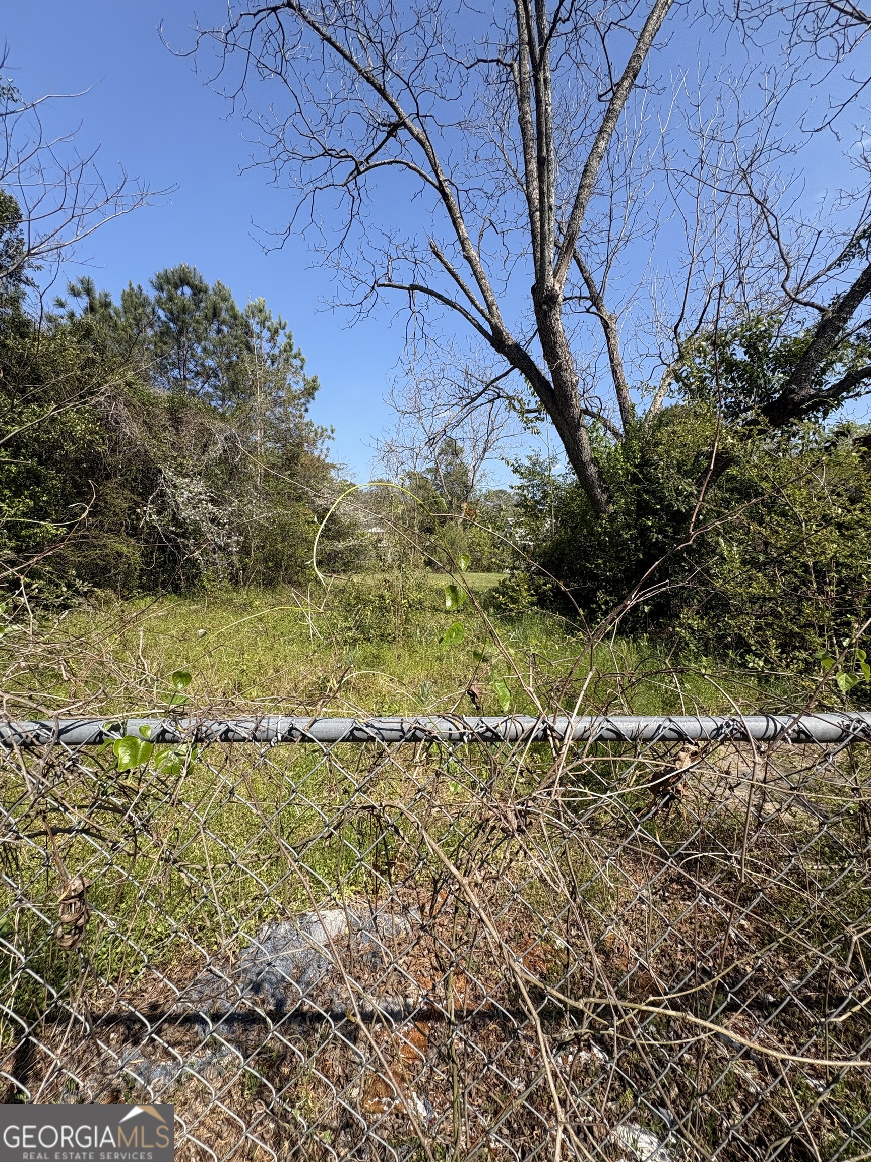 2585 New Clinton Road Macon, GA 31211 - Photo 71 of 76