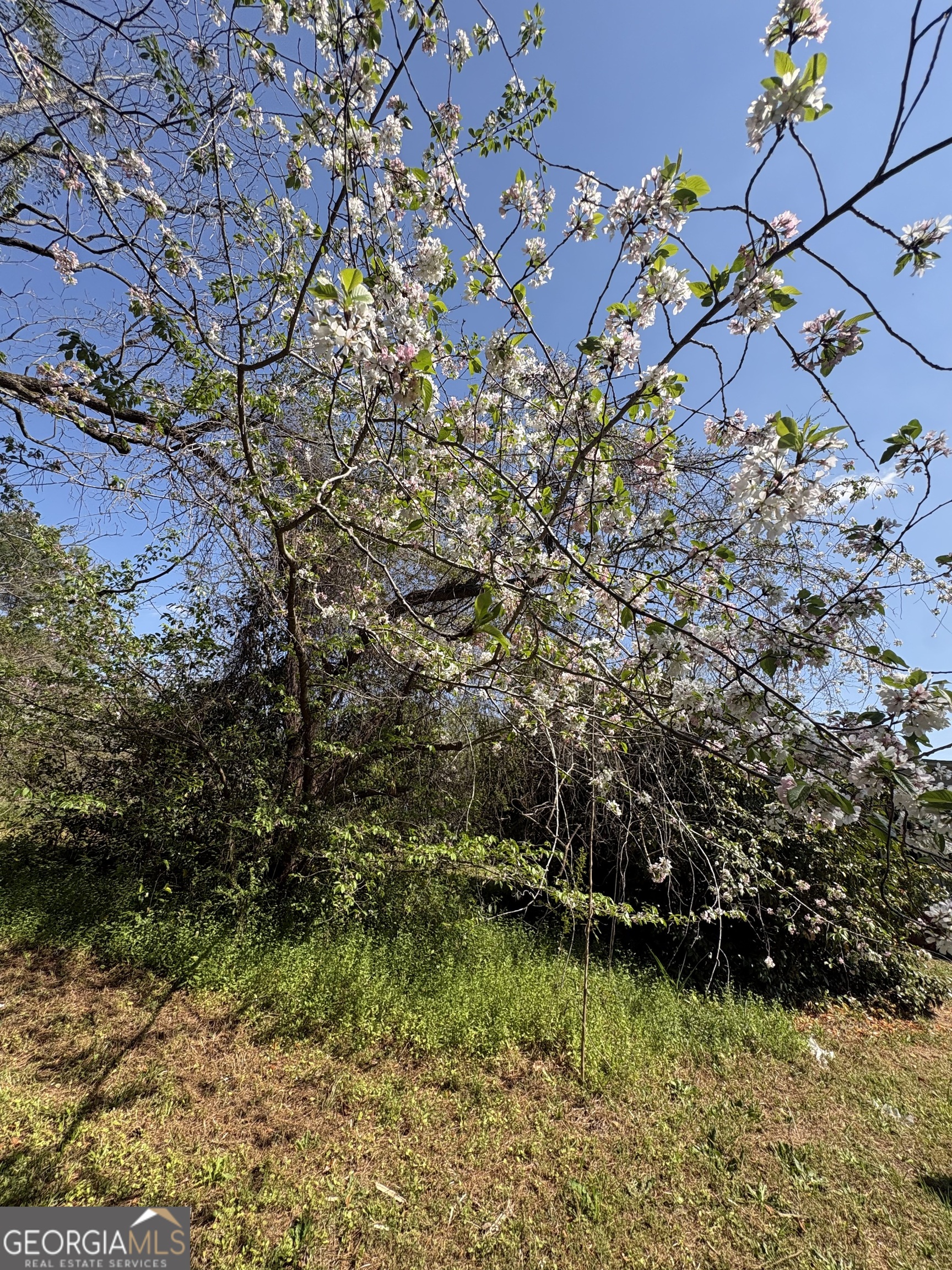 2585 New Clinton Road Macon, GA 31211 - Photo 72 of 76