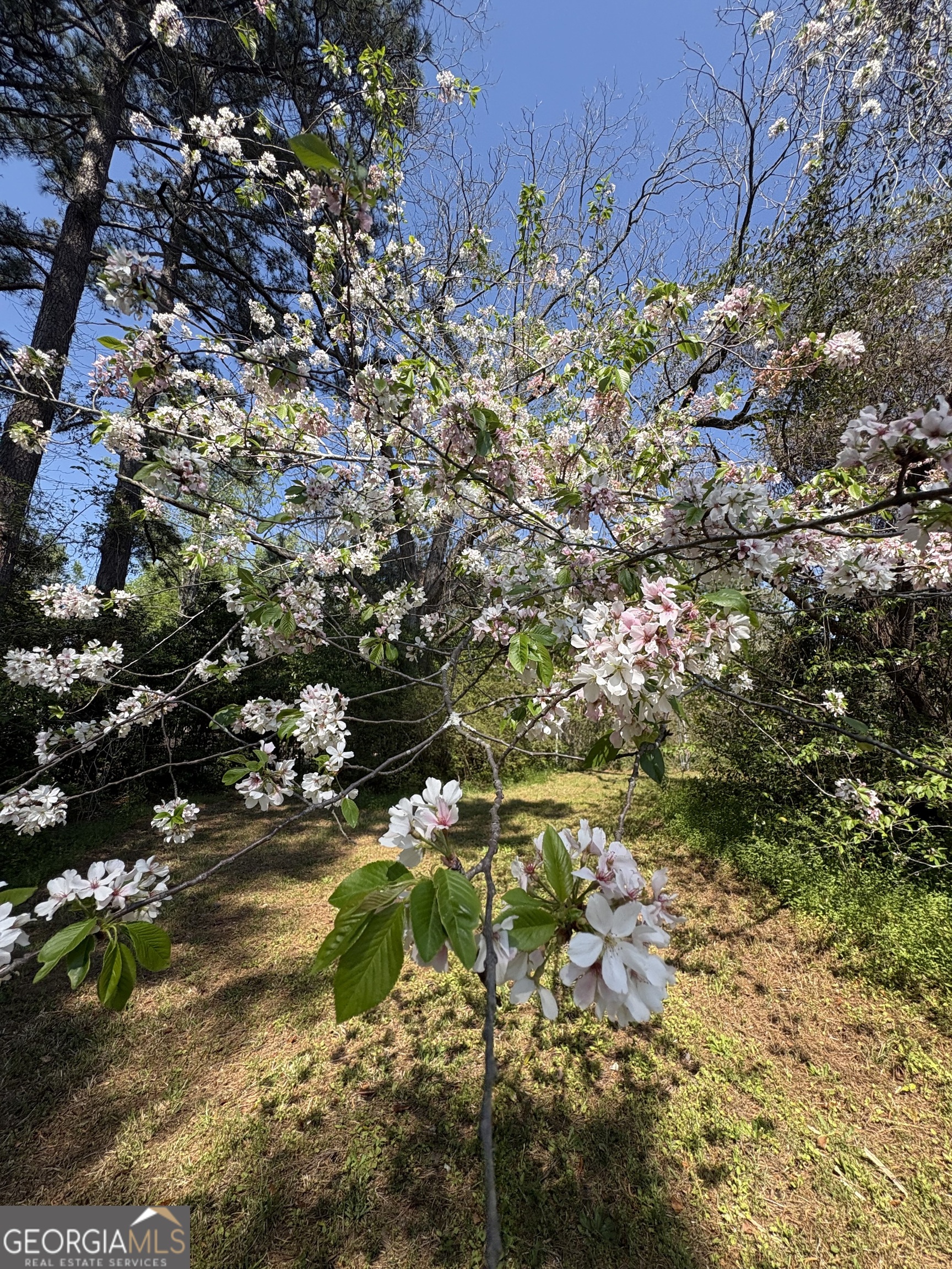 2585 New Clinton Road Macon, GA 31211 - Photo 73 of 76