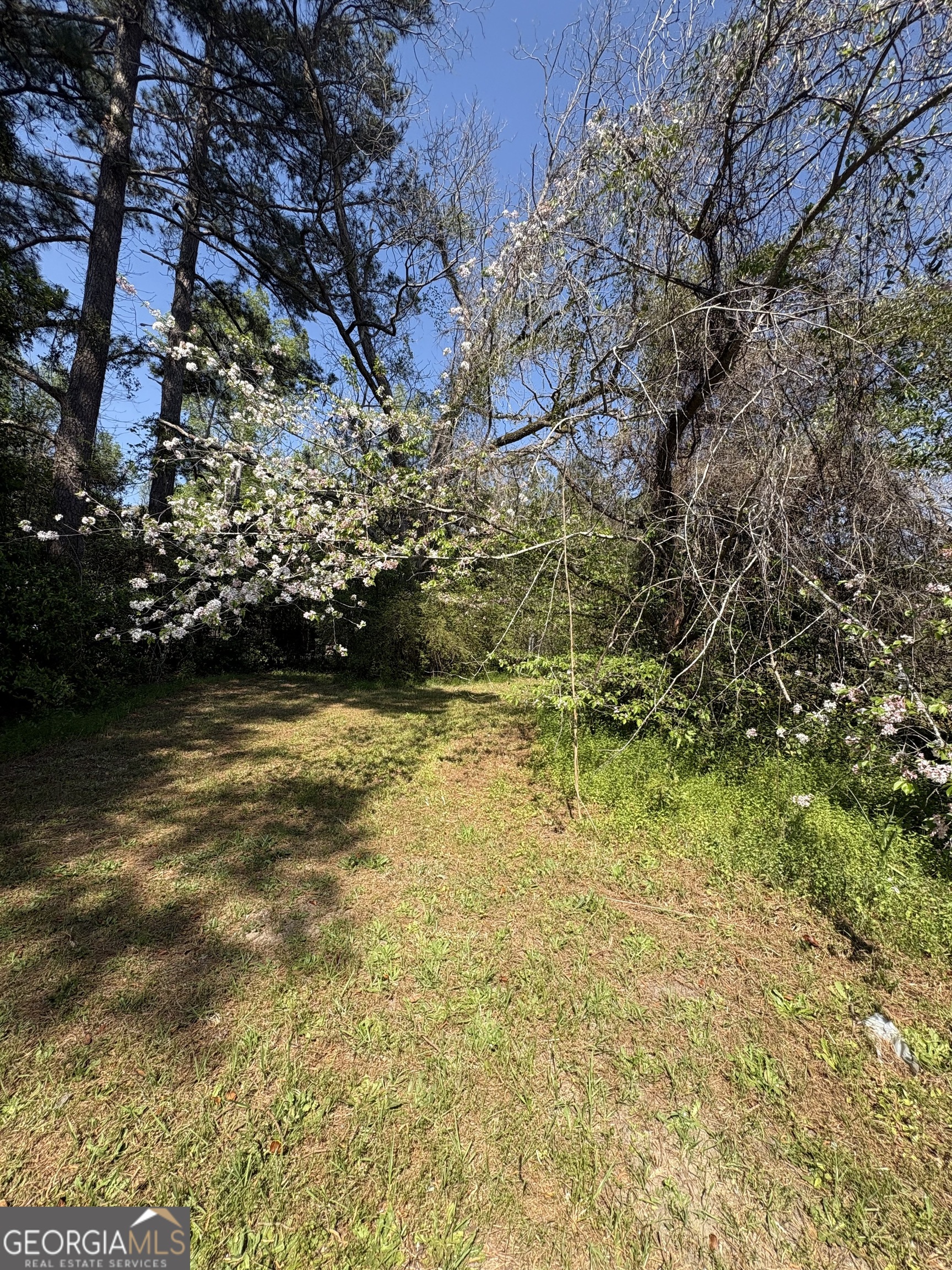 2585 New Clinton Road Macon, GA 31211 - Photo 74 of 76