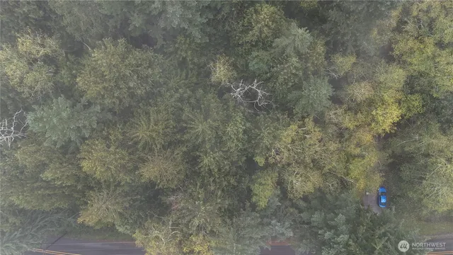 a view of a city with lush green forest