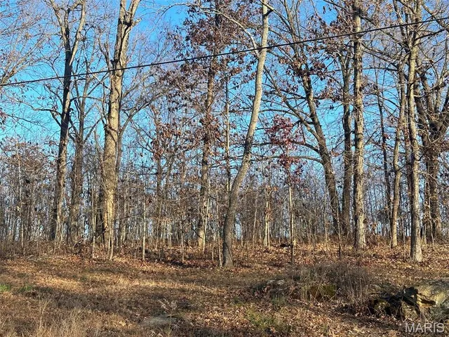 $45,000 | 26 Wagon Creek Loop, Creal Springs, IL 62922