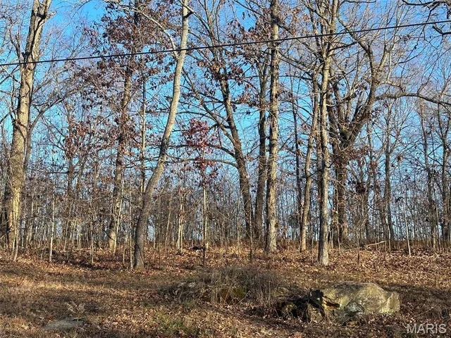 $45,000 | 26 Wagon Creek Loop, Creal Springs, IL 62922