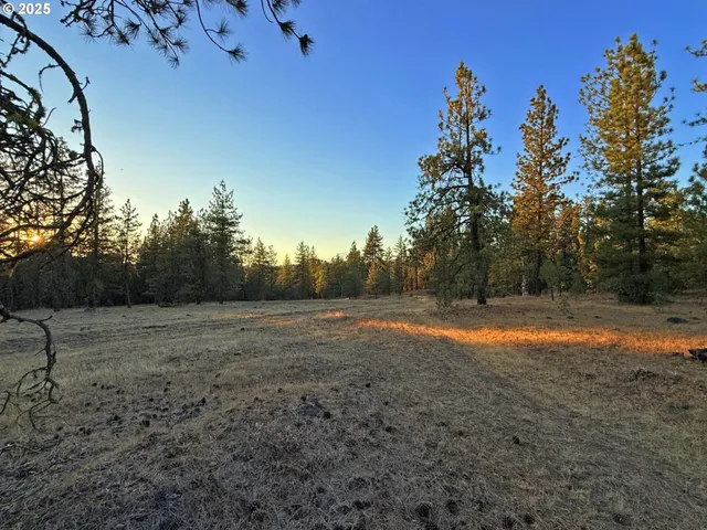 a view of dirt field with trees in background
