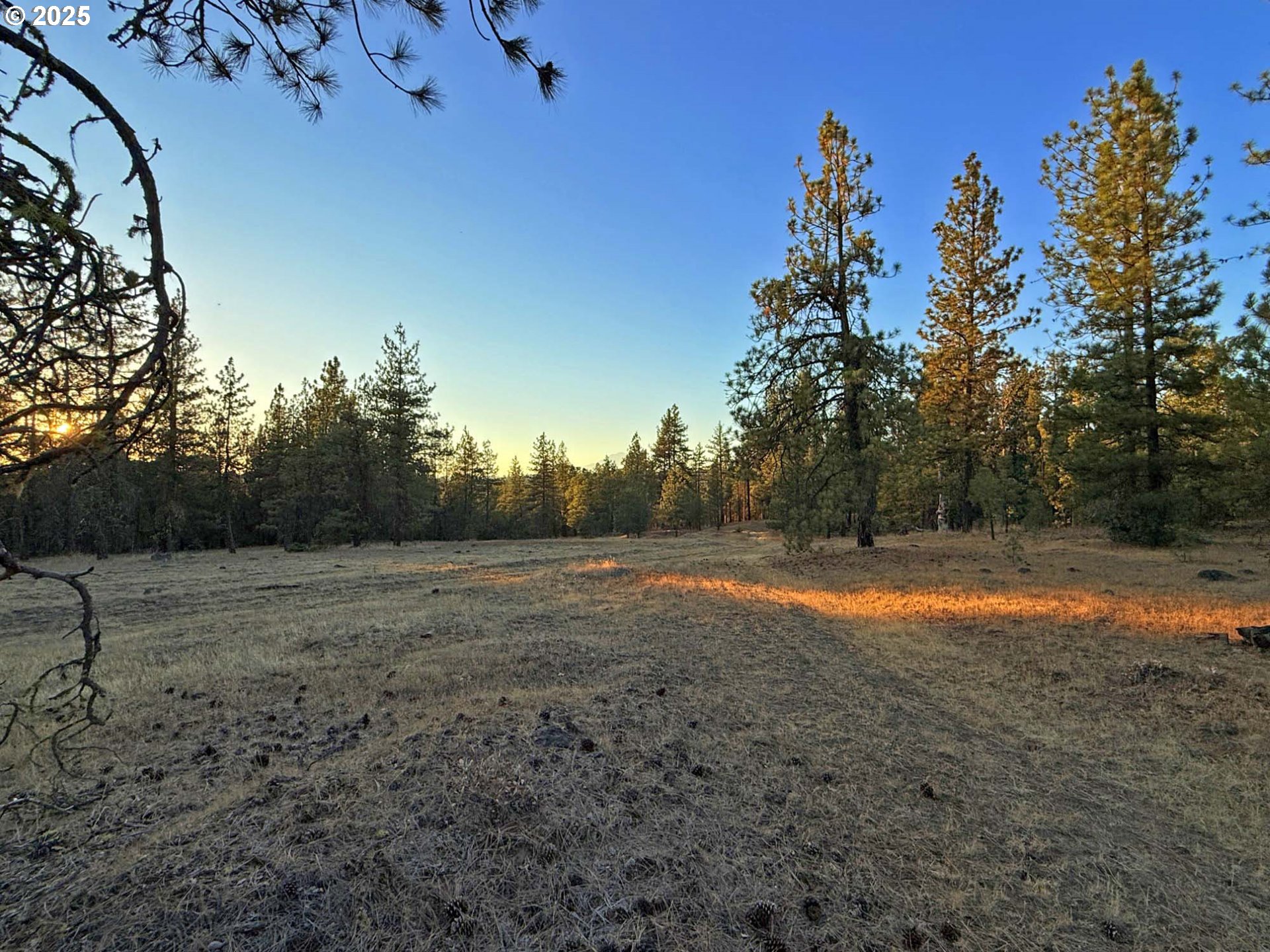 Boardman Way, Unit 5 Goldendale, WA 98620 - Photo 11 of 39 a view of dirt field with trees in background