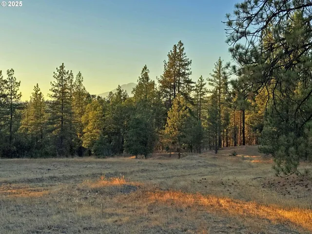 a view of dirt field with trees in the background